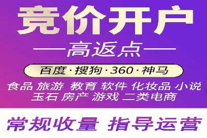 百度SEO推广公司案例精选：揭秘优化策略